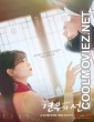 Head Over Heels (2025) Season 1 Korean Hindi Dubbed Drama Series